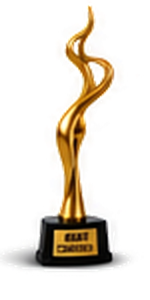 Indian Digital Award